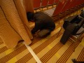 Tn M CAIT 2011 0085